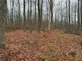  Dry Brook Road - Photo 9