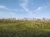 2989 County Route 6 - Photo 45