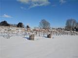 2989 County Route 6 - Photo 47