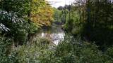 0 River Road - Photo 13