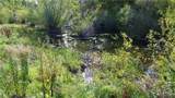 0 River Road - Photo 16