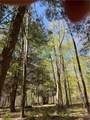  Hemlock Drive - Photo 21