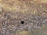 586 County Route 3 - Photo 15