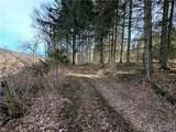  Ryan Hollow Road - Photo 2
