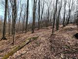  Ryan Hollow Road - Photo 33