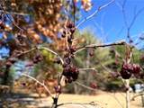 00 Black Ash Road - Photo 24