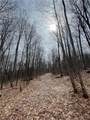  Mill Creek Road - Photo 4