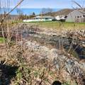 417 Otsego Street - Photo 11
