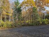  Birch - Photo 1