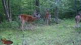  Swartz Road - Photo 30