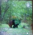  Swartz Road - Photo 31