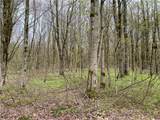 Lot #9 Lost Ridge Road - Photo 11