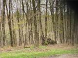 Lot #9 Lost Ridge Road - Photo 16
