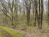 Lot #9 Lost Ridge Road - Photo 3