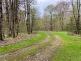 Lot #9 Lost Ridge Road - Photo 9
