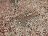  County Road 16 - Photo 21