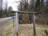  County Road 16 - Photo 34