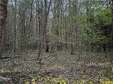 0 Otter Creek Trail - Photo 3