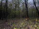 0 Otter Creek Trail - Photo 5