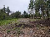 16744 LOT 2A Thompson Trail Drive - Photo 13