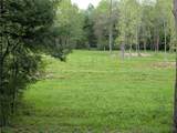 16744 Lot #2D Thompson Trail Drive - Photo 13