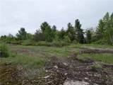 16744 Lot #2D Thompson Trail Drive - Photo 20
