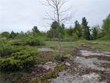 16744 Lot #2D Thompson Trail Drive - Photo 21