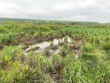9599 County Road 16 - Photo 33
