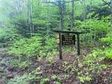 9599 County Road 16 - Photo 37