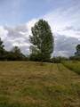 263 Cogar Drive - Photo 7