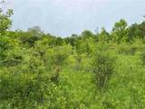 3240 Route 430 - Photo 8