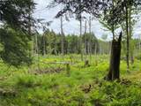  White Road - Photo 24