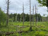  White Road - Photo 25