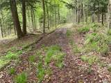  White Road - Photo 29