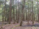 White Road - Photo 10