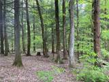  White Road - Photo 13