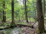  White Road - Photo 18