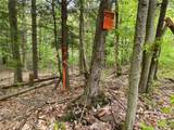  White Road - Photo 24