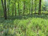  White Road - Photo 34