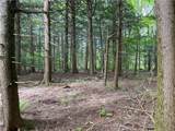  White Road - Photo 5