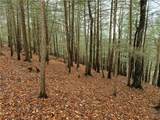 3304 Co Rd 22 - Photo 42