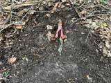  Grote Road - Photo 34