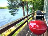 41202 Red Lake - Photo 41