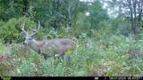 0 County Route 70 - Photo 13
