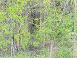 0 Klocks Corners Road - Photo 9