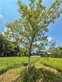  Syossett Drive - Photo 26