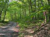 Lot 3 Brook Trout Lane - Photo 6