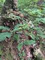  Creek Road - Photo 23