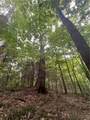  Creek Road - Photo 26