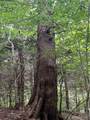  Creek Road - Photo 28